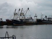 Rybářské lodě z přístavu Thyboron