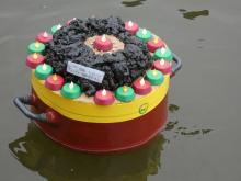 Těšíte se na maják jako já?