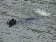 Ponorka Petra Macouna