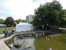 Do vody jsme dali několik bójek a přístav.