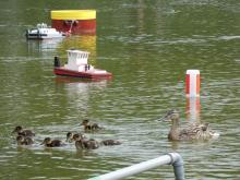 Vodnímu ptactvu jsme nevadili.