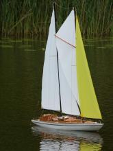 Atlantis se žlutou kosatkou