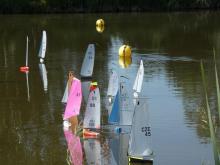 Ve výhledu trochu bránilo vzrostlé rákosí.