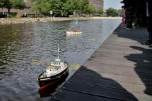 Lekníny se dají obeplout.