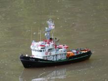 Tajfun (F2A) Ivana Grni