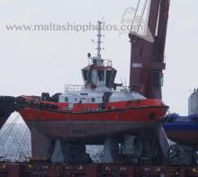 SENGLEA - transport lodi