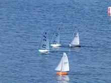 Vladimír Synek opět vyhrál.