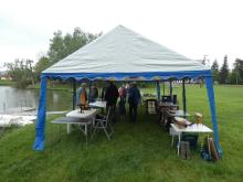 Stoly byly skoro celou dobu plné.