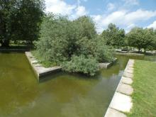 Takto to vypadá na jezírku, u kterého se sejdeme koncem srpna. Jeden by brečel. 