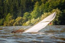 Mariquita bojovala s větrem statečně.