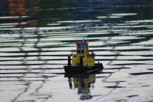 Můj Springer na vodě