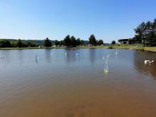 Téměř všechny plachetnice na jednom snímku