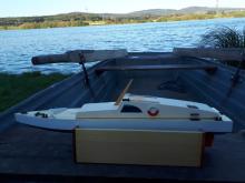 Delfín před plavbou