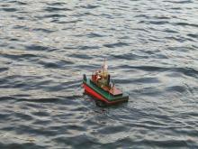 Plavení "TT koní" - 1