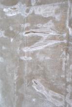 Po vyloupnutí z kopyta - 1