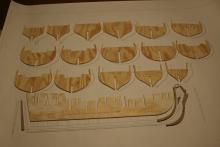 Srovnání kostry a plánů