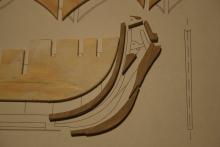 Srovnání kostry a plánů