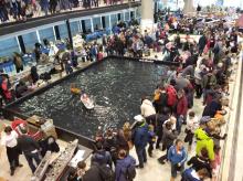 For Model 2023 začne za pár dní